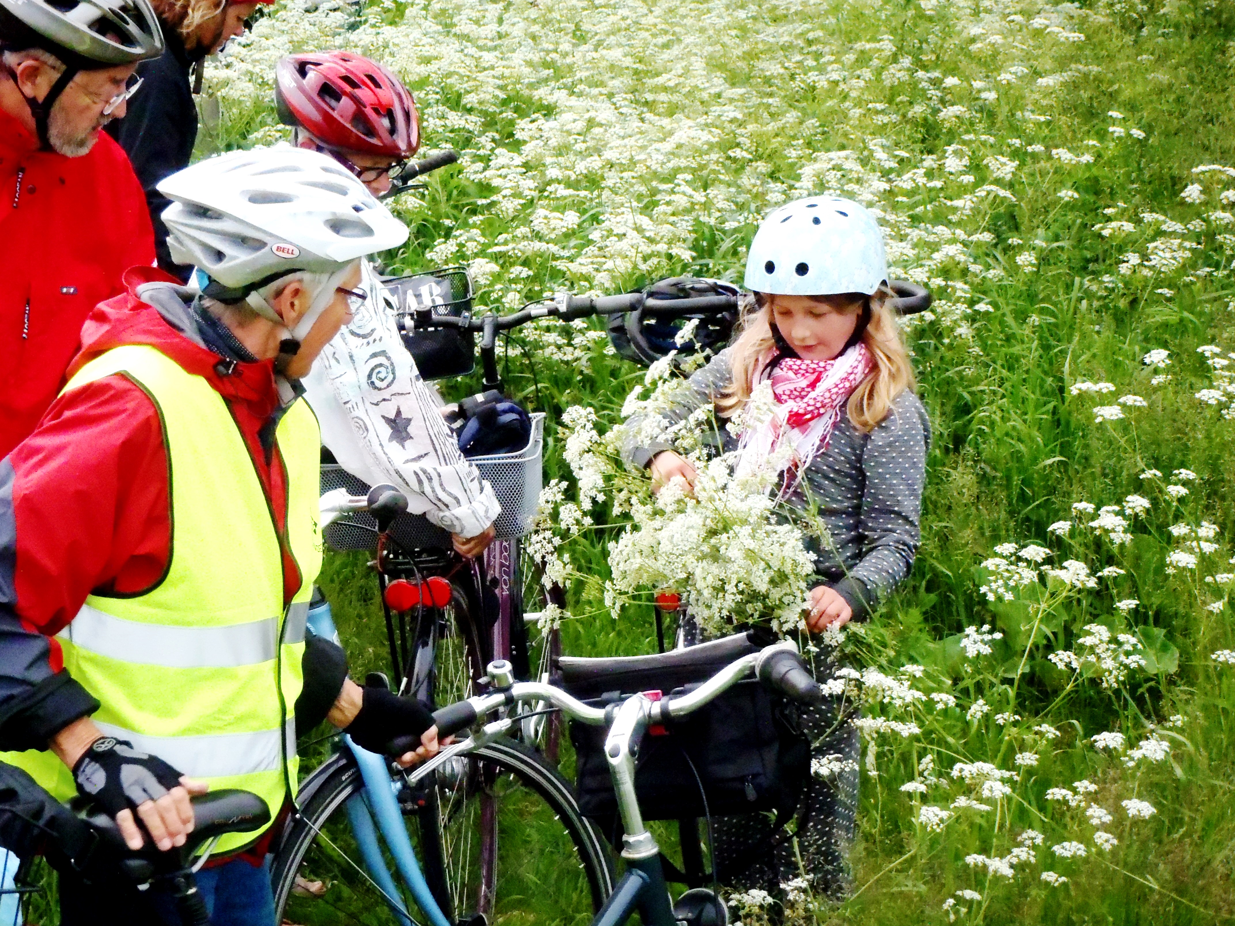Store Cykeldag 2013