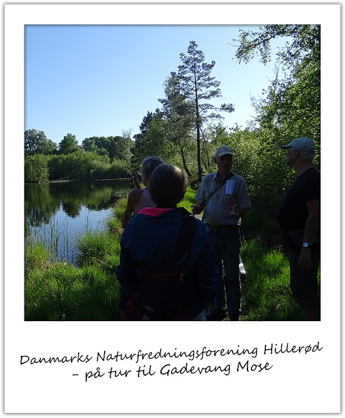 DKs naturfredningsforening1