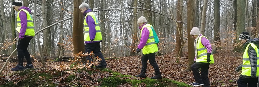 Traening i naturen