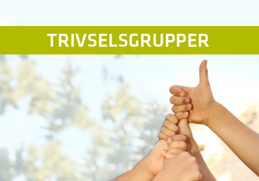 Trivselsgrupper