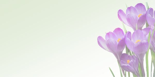 GF og medlemsmøde 2026